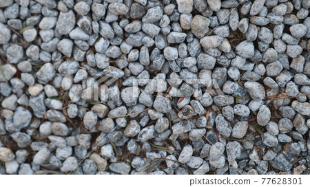 Texture of little stones in many shades of grey and white laying on ground. Stone floor texture for background. Crack Stone pattern at a construction site in Turkey Texture of little stones in many shades of grey and white laying on ground. Stone floor texture for background. Crack Stone pattern at a construction site in Turkey 77628301