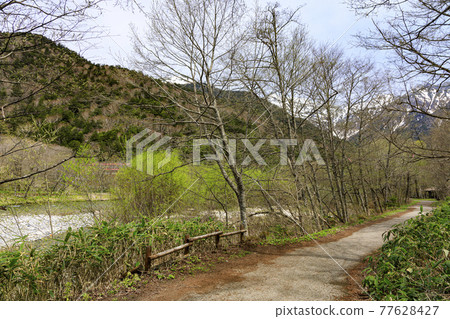 長野縣松本市旅遊勝地上高地的春天 77628427