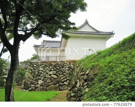 Kameyama Castle Tamon Tower 77628879