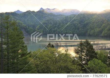 Lake Katsurazawa in the early morning (Mikasa City, Hokkaido) 77629571