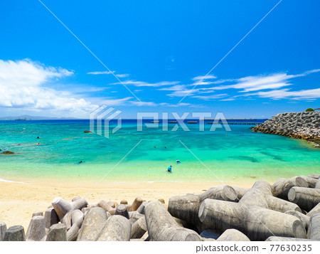 Sakimotobu Gorilla Chop 77630235