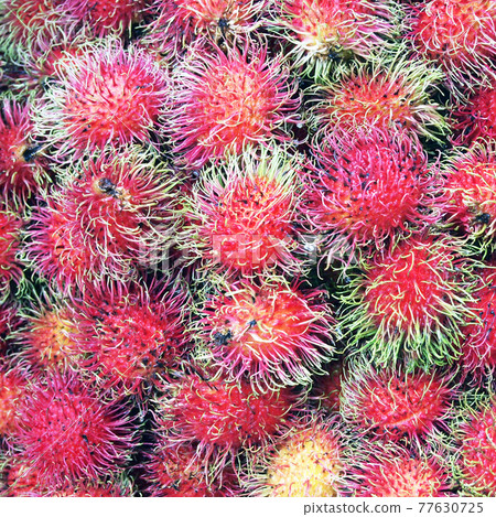 Rambutan Rambutan 77630725