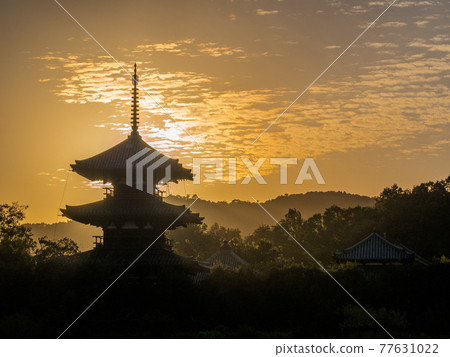 Hokiji Mie Pagoda 夜景 Hokiji Mie Pagoda 夜景 77631022
