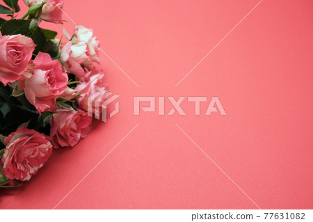 Rose buds on a colored paper background. Spring flowers. Place for text 77631082
