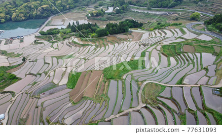 無人機鳥瞰大浦梯田 無人機鳥瞰大浦梯田 77631093