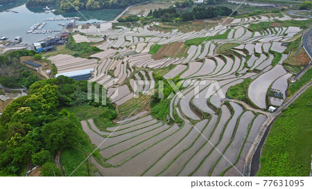 無人機鳥瞰大浦梯田 無人機鳥瞰大浦梯田 77631095