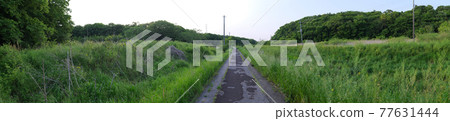 A long road leading to the grass A long road leading to the grass 77631444