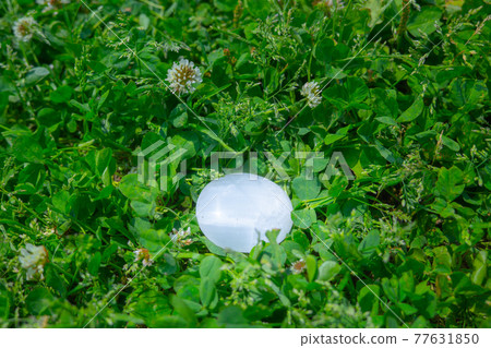 Serenite placed on the clover 77631850