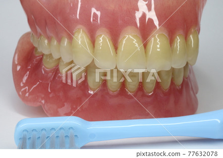Tooth Tooth 77632078