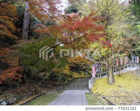 北鎌倉漢索房的秋葉 77632181