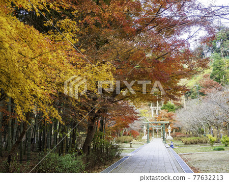 北鎌倉漢索房的秋葉 77632213