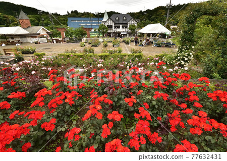 Shimada City Rose Hill Park 210513pm 1:25 77632431