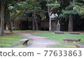 A park with a bench 77633863