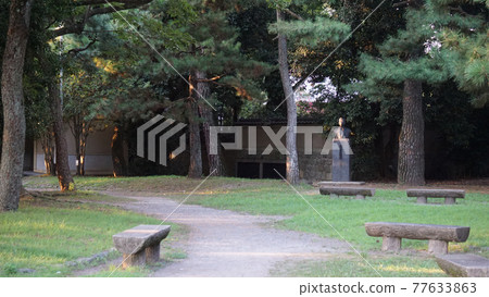 A park with a bench A park with a bench 77633863
