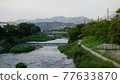 Along the Kamo River where you can take a walk 77633870