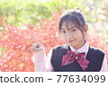 Students in uniforms to guide autumn leaves 77634099