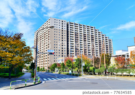 【瑞光橋公園前】荒川區鹽入小學，從十字路口（東京都荒川區）望向時安[2020.11] 77634585