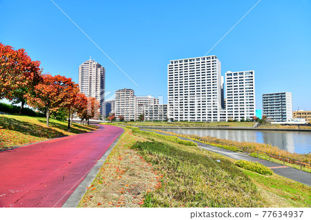 從鹽入公園（東京都荒川區）看千十潮入橋/隅田川地區 [2020.11] 77634937