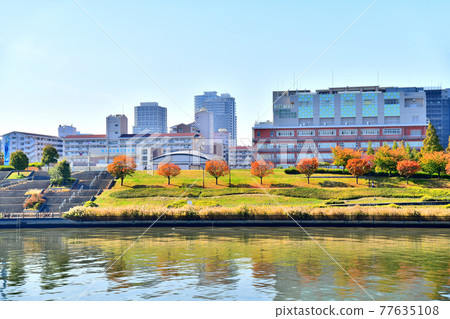 眺望隅田川的鹽入公園（東京都荒川區） [2020.11] 77635108