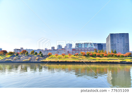Overlooking the Shioiri Park over the Sumida River (Arakawa-ku, Tokyo) [2020.11] 77635109
