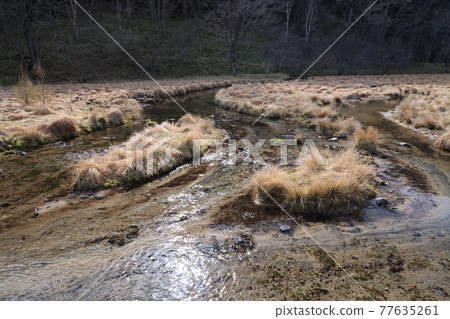 Nikko, the flow of spring water in Kotokunuma 77635261