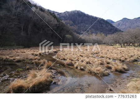 Nikko National Park, Kotokunuma no Yachibozu 77635263