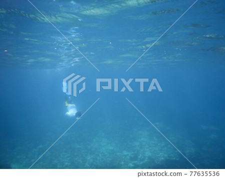 A man diving with snorkeling 77635536