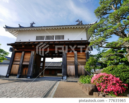 Kakegawa Castle Otemon (Azalea) Kakegawa Castle Otemon (Azalea) 77635965