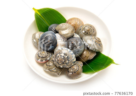 Boiled salted shellfish 77636170