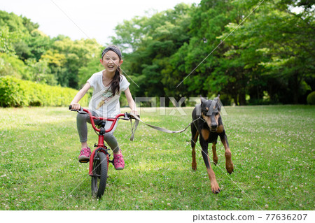 一個騎自行車遛狗的女孩 77636207