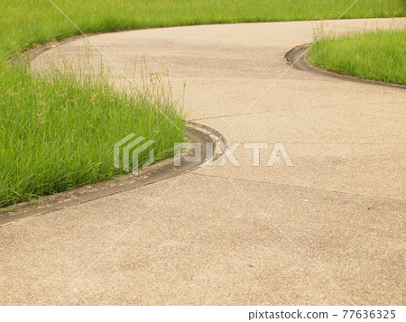 curve pathway view curve pathway view 77636325