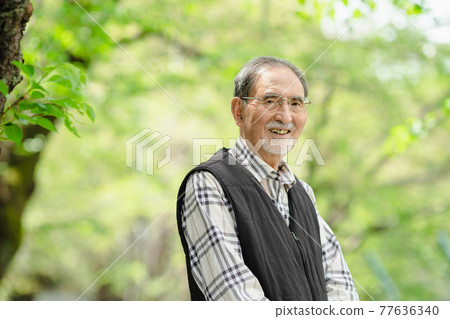 Senior man, fresh green, portrait 77636340