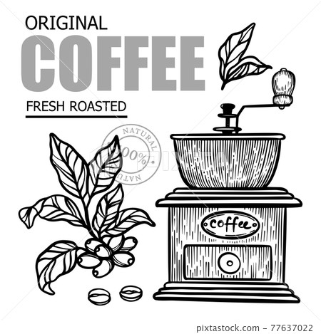 COFFEE MILL AND COFFEE BRANCH Design Of Stickers And Labels For Shop Of Dessert Drink Products In Vintage Style Hand Drawn Vector Illustration Set For Print COFFEE MILL AND COFFEE BRANCH Design Of Stickers And Labels For Shop Of Dessert Drink Products In Vintage Style Hand Drawn Vector Illustration Set For Print 77637022
