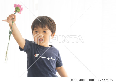 粉紅色康乃馨的 3 歲男孩 粉紅色康乃馨的 3 歲男孩 77637089