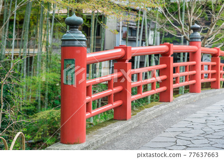 [修善寺竹林小徑楓橋] 77637663