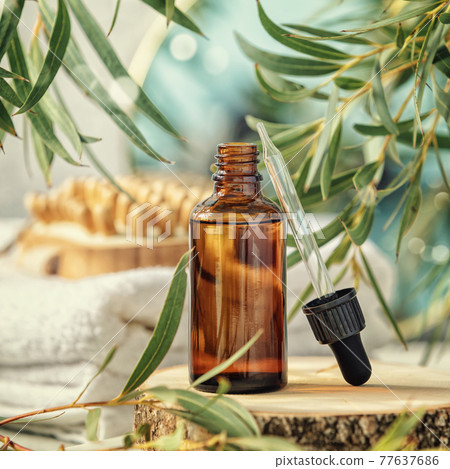 Amber glass bottle with wooden massage brush, eucalyptus leaves, mirror and towels Amber glass bottle with wooden massage brush, eucalyptus leaves, mirror and towels 77637686
