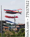 Carp streamer 77637922