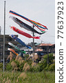 Carp streamer 77637923