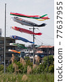 Carp streamer 77637955