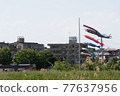 Scenery where you can see the carp streamer 77637956