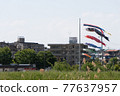Scenery where you can see the carp streamer 77637957