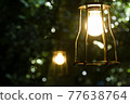 Rainforest and lamps 77638764