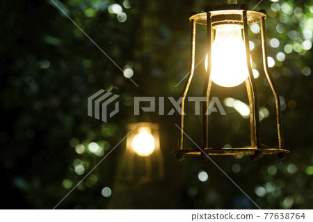 Rainforest and lamps 77638764