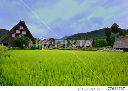 Shirakawago Shirakawago 77638767