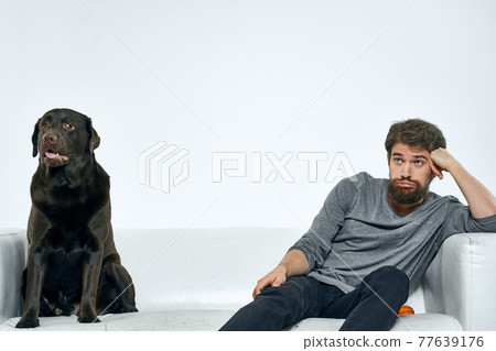 Male owner play with the dog on the couch training fun light room friends pet 77639176
