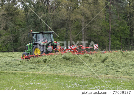 Shaking of freshly cut grass with tractor and tedder. Shaking of freshly cut grass with tractor and tedder. 77639187