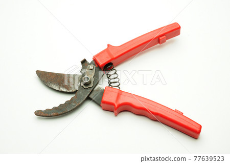 Scissors for pruning tree branches and bushes on a white background Scissors for pruning tree branches and bushes on a white background 77639523