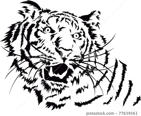 Illustration material: tiger, tiger, tiger, tiger's face 77639561
