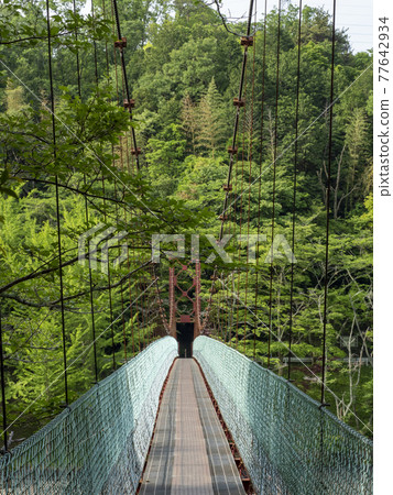 湖上的吊橋 湖上的吊橋 77642934