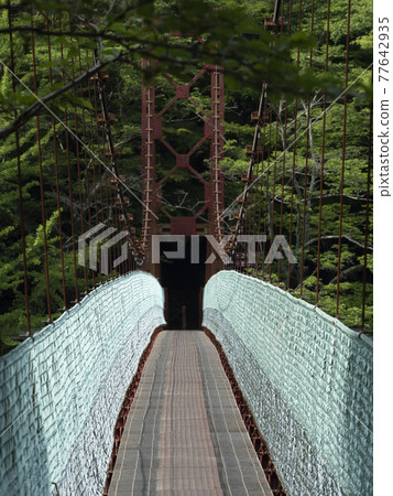 湖上的吊橋 湖上的吊橋 77642935